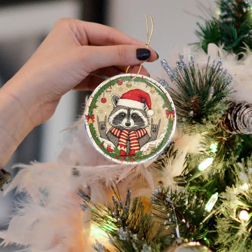 ROCI Racoon Rock 3 Acrylic Animal Wildlife Hanging Christmas Ornament
