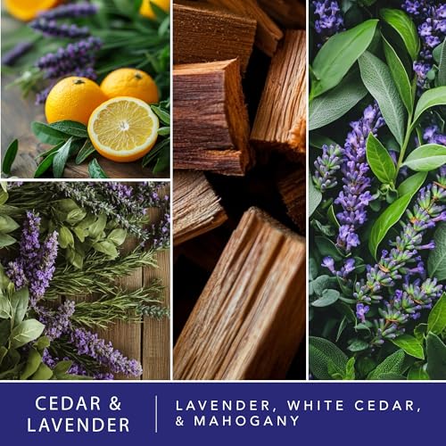 Cedar & Lavender Scented Wax Melts - 24 Cubes, Long-Lasting Home Fragrance