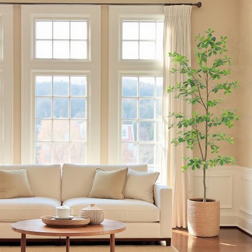 7ft Tall Faux Black Olive Tree with Realistic Leaves for Indoor Decor