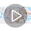 AhfuLife Christmas Window Clings 190PCS Santa & Snowman Reusable 3D Decorations
