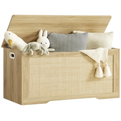 39-inch Storage Chest with Safety Hinges, Toy Box & Entryway Shoe Bench