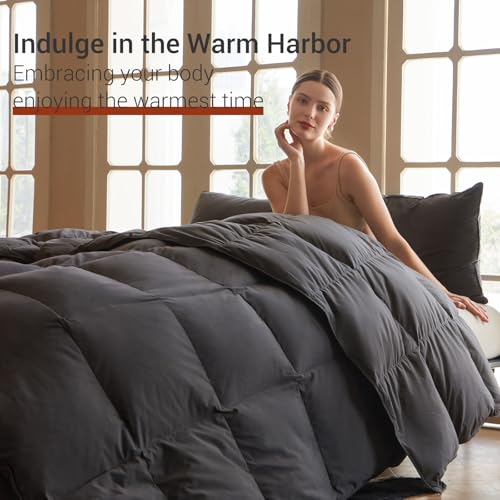 All Season Goose Feather Down Comforter - Queen Duvet Insert, Dark Grey