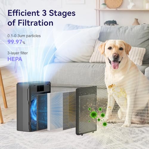 H13 HEPA Air Purifier for Large Rooms Pet Dander Smoke 1500 Sq Ft Black