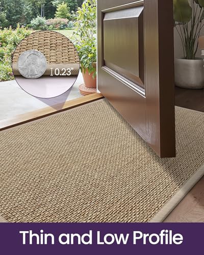 DEXI Beige Indoor Door Mat 24x36 Non-Slip Entrance Rug Moisture Absorbent