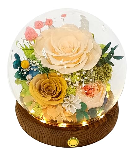 Preserved Champagne-Yellow Rose Arrangement with LED Lights & Gift Box