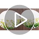 12 Pcs 5-Inch Round Acrylic Mirror Tiles - Self-Adhesive Table Centerpieces