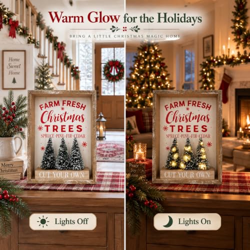Eternhome Christmas Lighted Tabletop Decor with 6H On/18H Off Timer