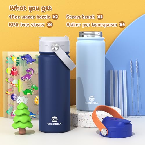 18oz Kids Stainless Steel Water Bottle with Straw 2 Pack