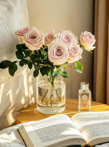 Clear Glass Cylinder Vases 6 Inch - Set of 12 Flower & Candle Holders