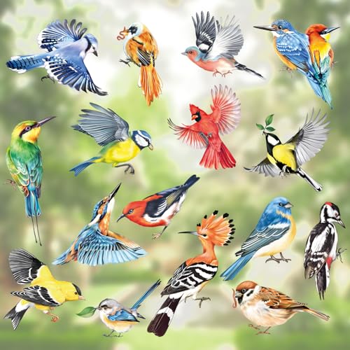 Colorful Birds Window Clings - Hummingbird & Parrot Decals
