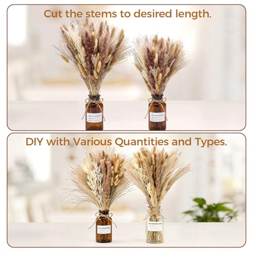 100 Pcs Natural Dried Pampas Grass Bouquet - 17 Inch Boho Home Decor