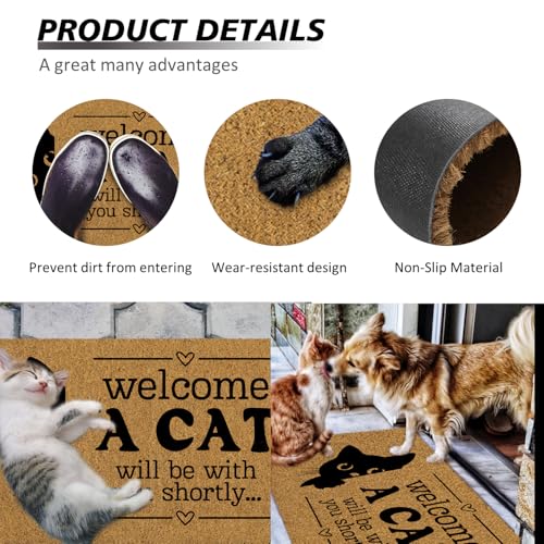 ShowDraven Funny Cat Door Welcome Mat - Outside Indoor Entrance, Black Kitten, 30x17 Inch, Cat2
