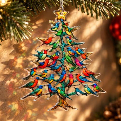 RUSATEN Hm Tree Hummingbird Christmas Ornament Gift for Women & Mom with Story Card
