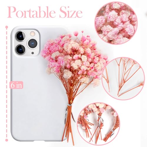 Mini Pink Dried Baby's Breath Flowers, 6-Inch Preserved Gypsophila (70 Stems)