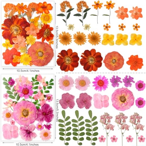 269 Pcs Dried Pressed Flowers Set with Butterfly Stickers for Resin Crafts