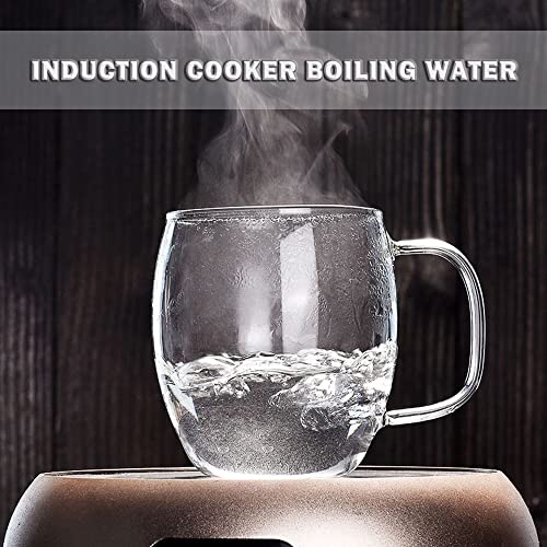 17 oz Glass Tea Cup with Infuser & Lid - Clear Loose Leaf Mug for Hot & Cold Beverages
