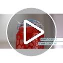 Manual Can Carbonation Saver and Fizz Keeper for 12oz Soda and Beer - 2 Pack
