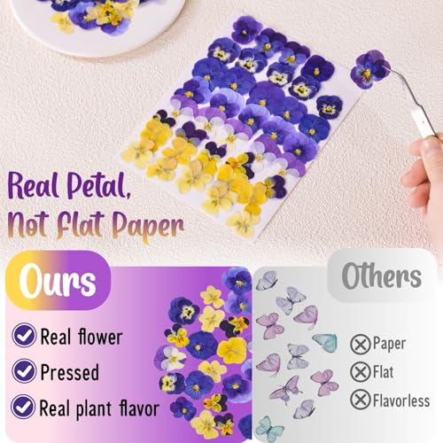 Natural Dried Pressed Edible Flowers for Cake Toppers & DIY Crafts, 40 Pcs
