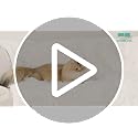 Weighted Blanket 15lbs Twin Size Faux Fur - Soft Plush Throw