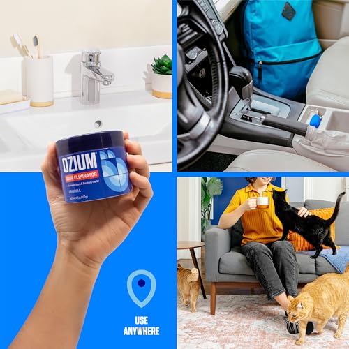Odor Eliminating Gel Air Freshener for Smoke & Pets, Original Scent, 4-Pack