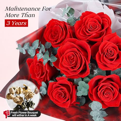 Preserved Red Rose Bouquet with Vase, 7 Real Roses for Anniversary Gift