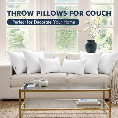 MIULEE 18x18 Throw Pillow Inserts 2 Pack, Fluffy Couch Pillow Forms