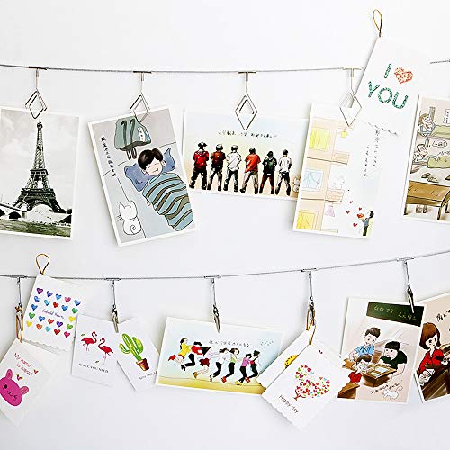 Steel Wall Hanging Photo Display Wire with 12 Alligator Clips, 5.25ft