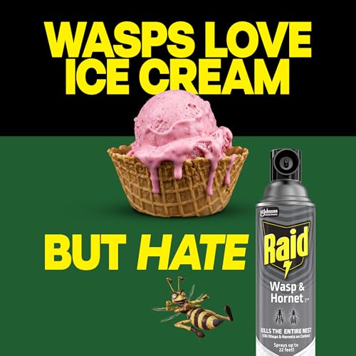 Raid Wasp & Hornet Killer Spray, Bug Kills the Entire Nest, 14 Oz, 2