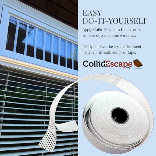 Clear Bird Tape for Windows - Prevent Bird Strikes (3/4" x 20')