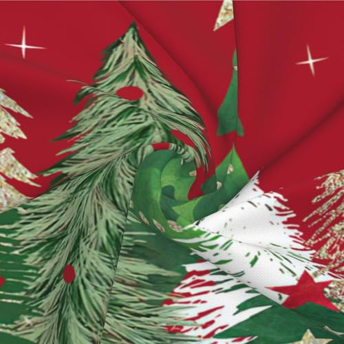 AELUTYSH Red Christmas Pillow Covers 18x18 Inch Set of 2 - Holiday Velvet Decor