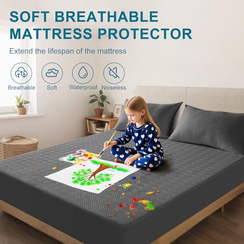 Waterproof Queen Mattress Protector - Noiseless Deep Pocket Cover, Gray