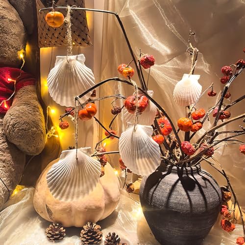 3-4 Inch Scallop Seashells with Hole - 15pc Natural White Craft Ornaments