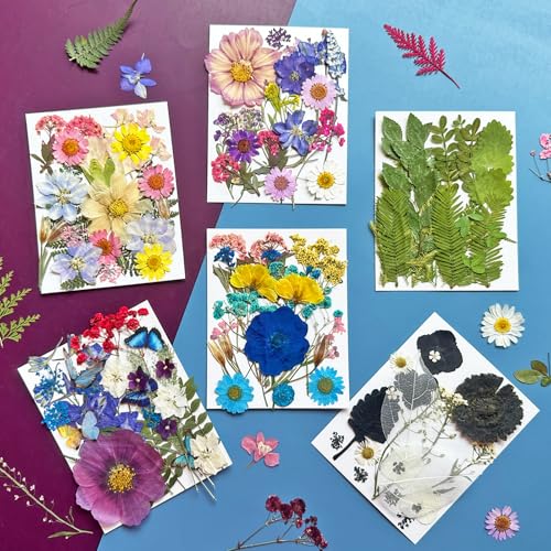 133Pcs Real Dried Pressed Flowers and Leaves for Resin Art and Jewelry
