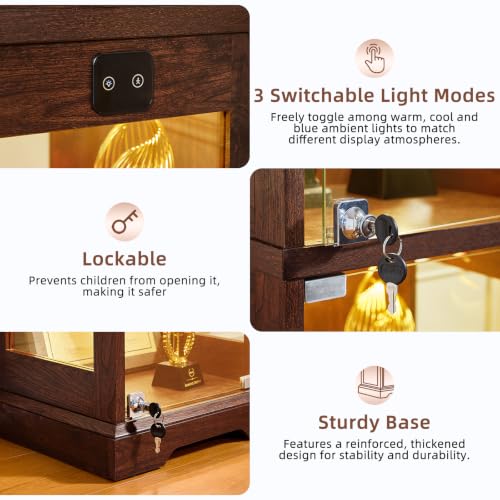 Narrow Glass Display Cabinet with Motion-Sensor Light, Walnut Wood