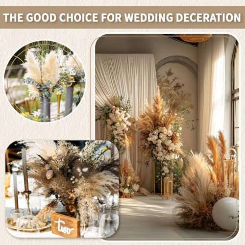 200-Piece Dried Pampas Grass Bouquet - Natural Boho Floral Home Decor