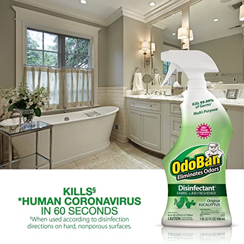 Disinfectant Spray and Odor Eliminator - 32 oz Eucalyptus Scent