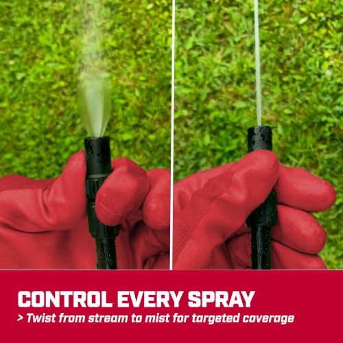 Chapin 1-Gallon Pump Sprayer for Lawn, Garden, Weed Control and Cleaning