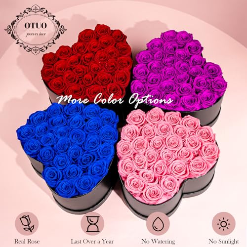 Preserved Pink Roses in Heart-Shaped Box - Lasts Up to 2 Years