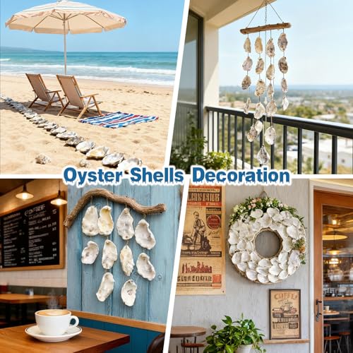 30 Pcs Natural Large Oyster Shells (4-5 Inch) for DIY Crafts & Decor