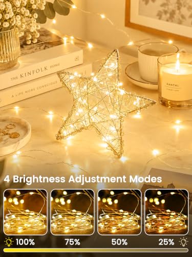 BHCLIGHT 2 Pack 198 ft 600 LED Warm White Fairy Lights with Remote, IP44 Waterproof