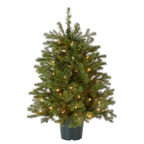 National Tree Company 3ft Pre-Lit Hampton Spruce Artificial Christmas Tree