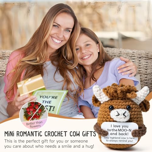 Mini Crochet Highland Cow Plushie Desk Decor with Message Card