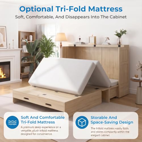 Queen Murphy Cabinet Bed with Tri-Folding Mattress and USB Charging Station