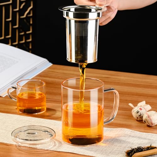 15 oz PARACITY Glass Tea Mug with Infuser & Lid - Borosilicate, Microwave & Dishwasher Safe