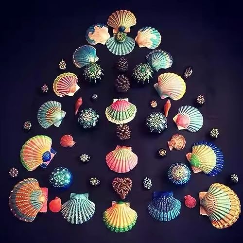 48 Pack Natural White Scallop Shells (1.5"-2") for Crafts & DIY Decor
