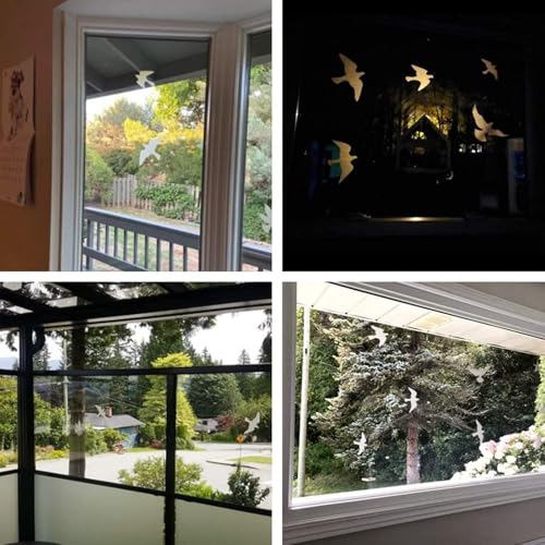 Anti-Collision Bird Stickers for Glass Windows and Doors