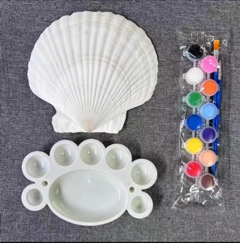 Large Natural Scallop Shells 4-5 Inch (10 Pack) for Crafting & Baking