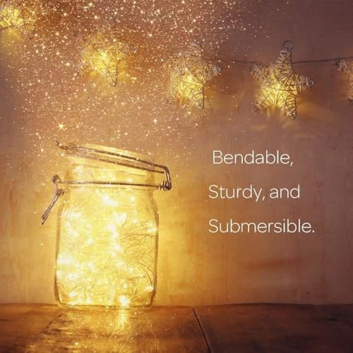 Warm White Fairy String Lights - 10ft 30 LED Battery Powered Silver Wire