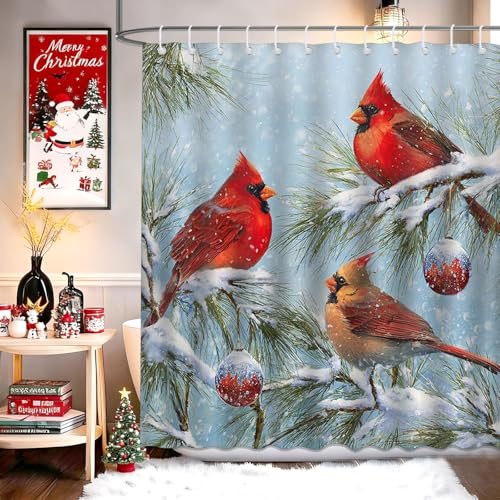 Christmas Red Bird Shower Curtain - Winter Robin & Cardinal Bathroom Decor, 72x72 Inches with Hooks