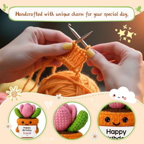 Crochet Succulent Potted Plant with Birthday Message Card